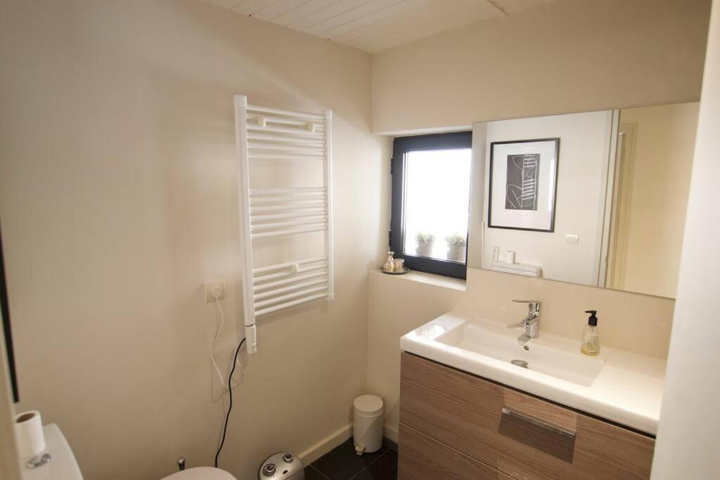 Apartament Central Amb Terrassa Alp Eksteriør billede